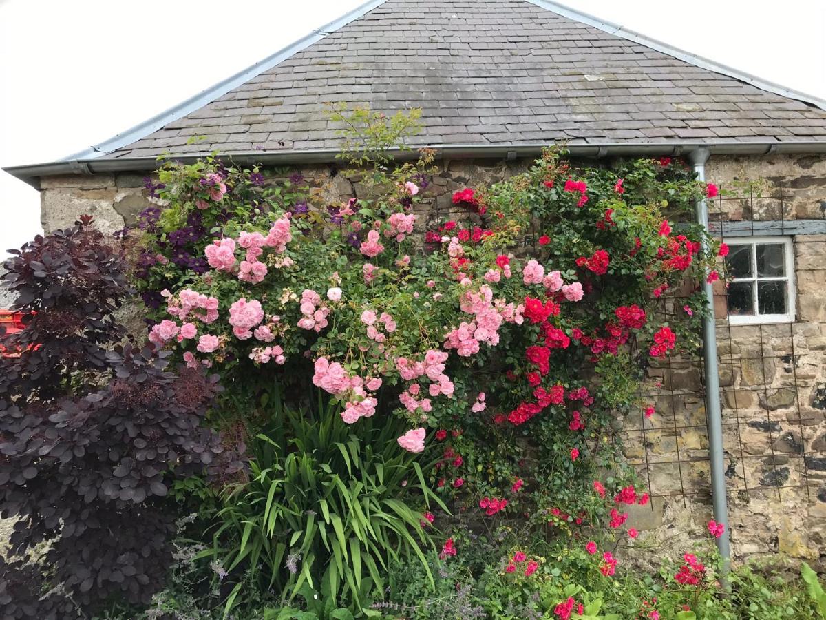 Billerwell B&B Hawick Exterior photo